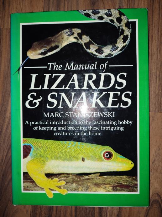 Lizards & snakes