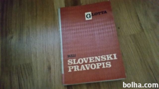 MALI SLOVENSKI PRAVOPIS