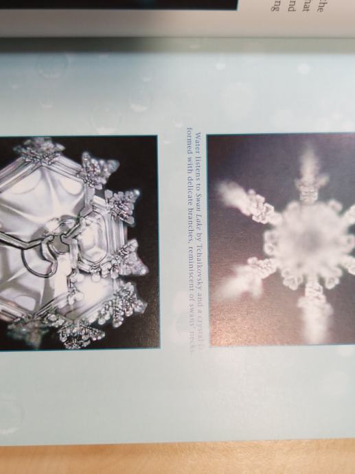 Masaru Emoto The Healing Power Of Water