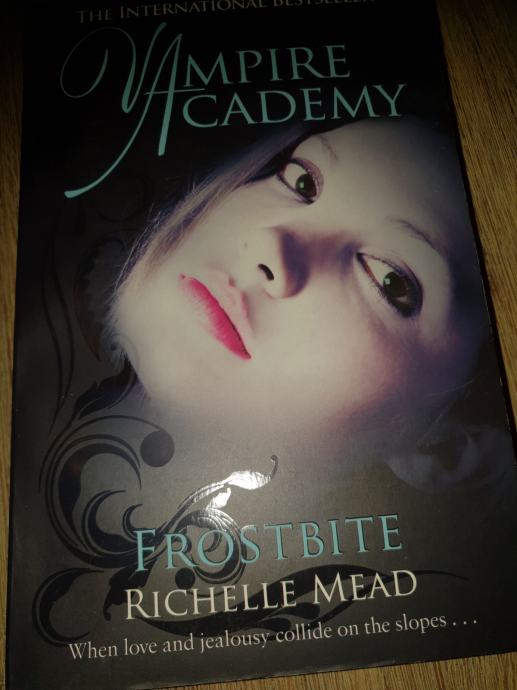 frostbite richelle mead