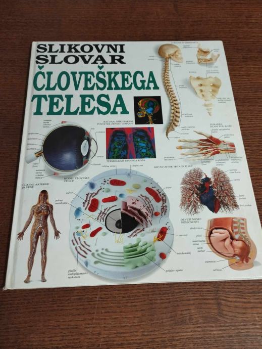 SLIKOVNI SLOVAR ČLOVEŠKEGA TELESA