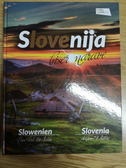 Slovenija (opis mest in znamenitosti)