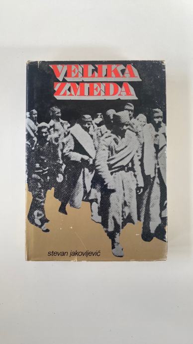 STEVAN JAKOVLJEVIĆ: VELIKA ZMEDA