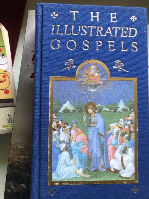 The illustrated gospels