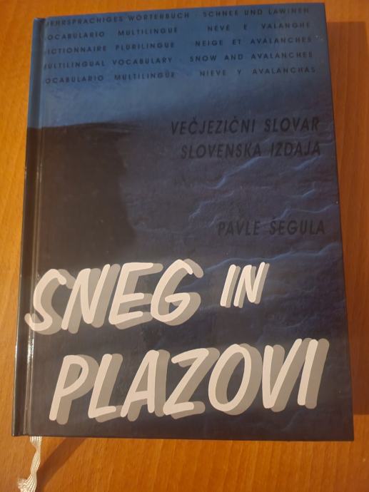 SNEG IN PLAZOVI (Pavle Šegula)