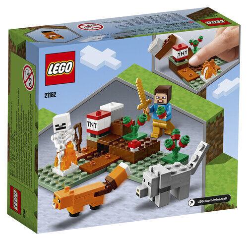 LEGO 21162 The Taiga Adventure (2020)