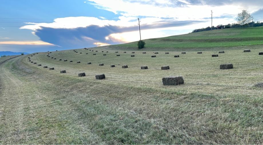 Kocke sena otava - dostava