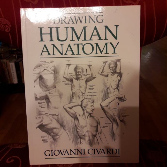 DRAWING HUMAN ANATOMY- Giovanni Civardi