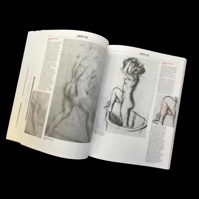 artistic anatomy robert beverly hale pdf free