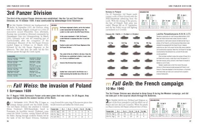 Wehrmacht Panzer Divisions 1939-45: The Essential Identification Guide