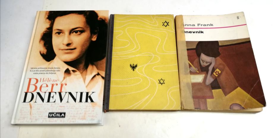 DNEVNIK – Anna Ana Frank, DNEVNIK ANE FRANK