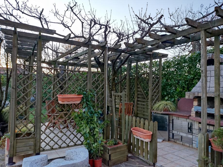 Pergola