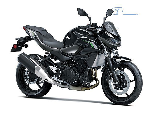 Kawasaki Z 500, 2024 l.