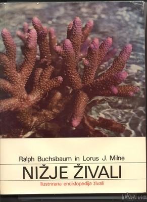 Nižje živali - Buchsbaum Milne, MK1968-Prelep živalski svet-Tettenb...