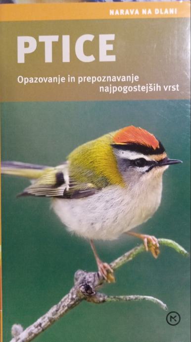 Ptice, opazovanje in prepoznavanje najpogostejših vrst