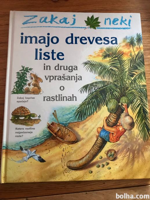 Zakaj neki imajo drevesa liste