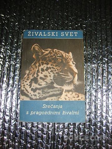 Živalski svet SREČANJA S PRAGOZDNIMI ŽIVALMI 1960