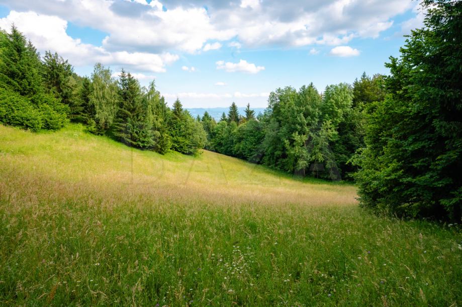 Ambrož pod Krvavcem, 647 m2