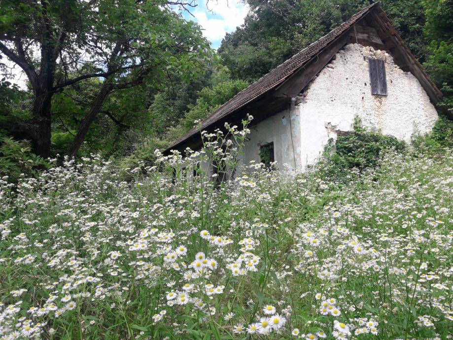 Armeško 2, Brestanica