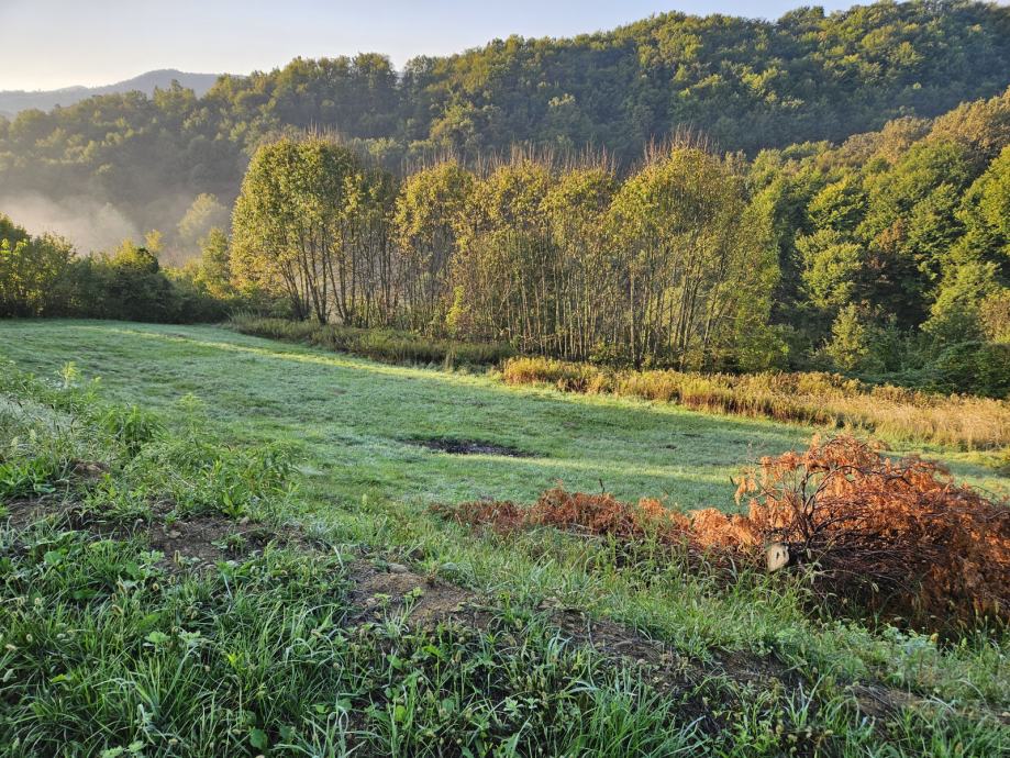 Haloze Cirkulane Paradiž 36.500 m2 kmetijsko zemljišče s stavbišči