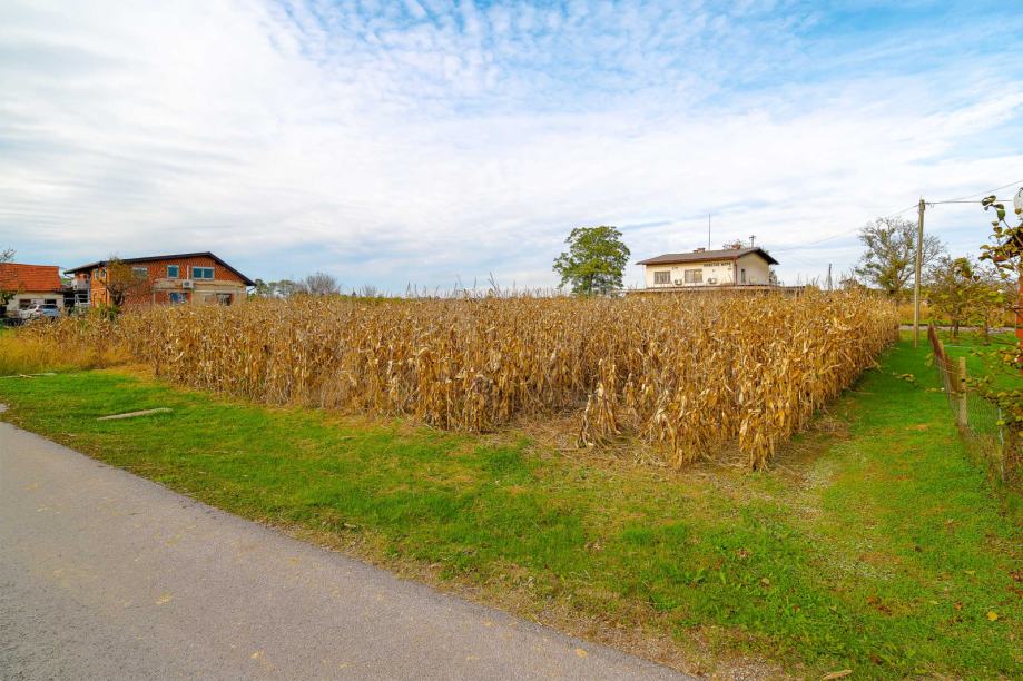 Lokacija zemljišča: Hrastje-Mota, 1240,00 m2