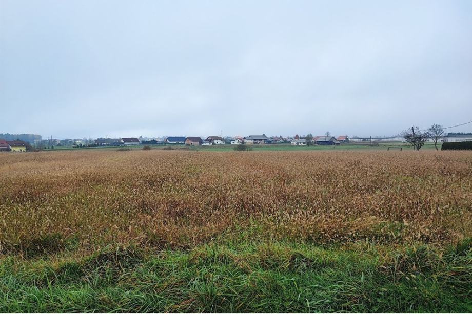 Kmetijsko in gozdno zemljišče