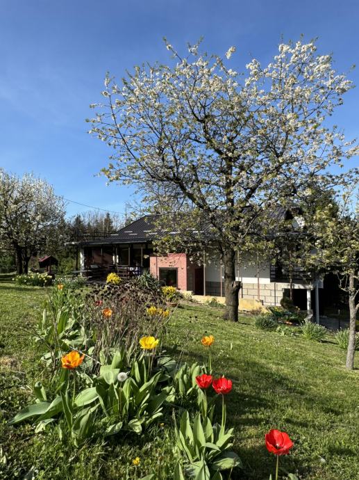 Hiška na samem s pogledom na gore (20 min do Ptuja, 10 min do Rogaške) (prodaja)