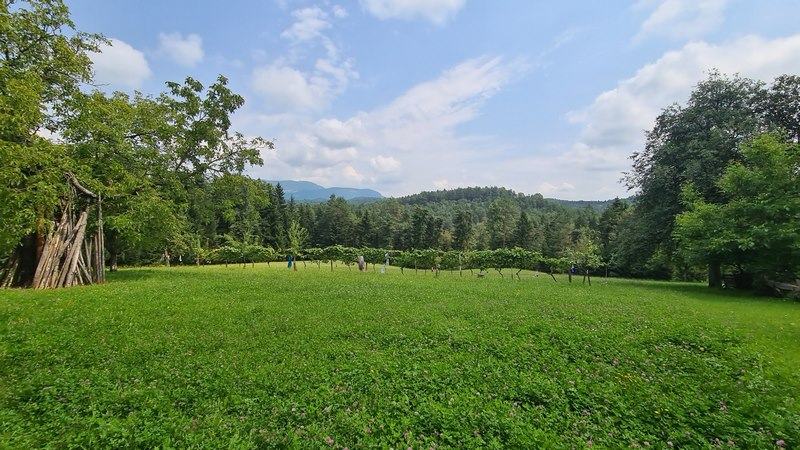 Lokacija hiše: Ponikva pri Žalcu, 196.00 m2 (prodaja)