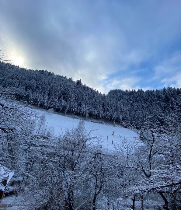 Mešani gozd, za investicijo, Radlje ob Dravi  - 600 000 m2