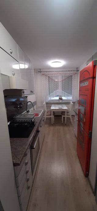 v NAJEM oddam STANOVANJE: Pobrežje -  Greenwich, 50 m2 (oddaja)