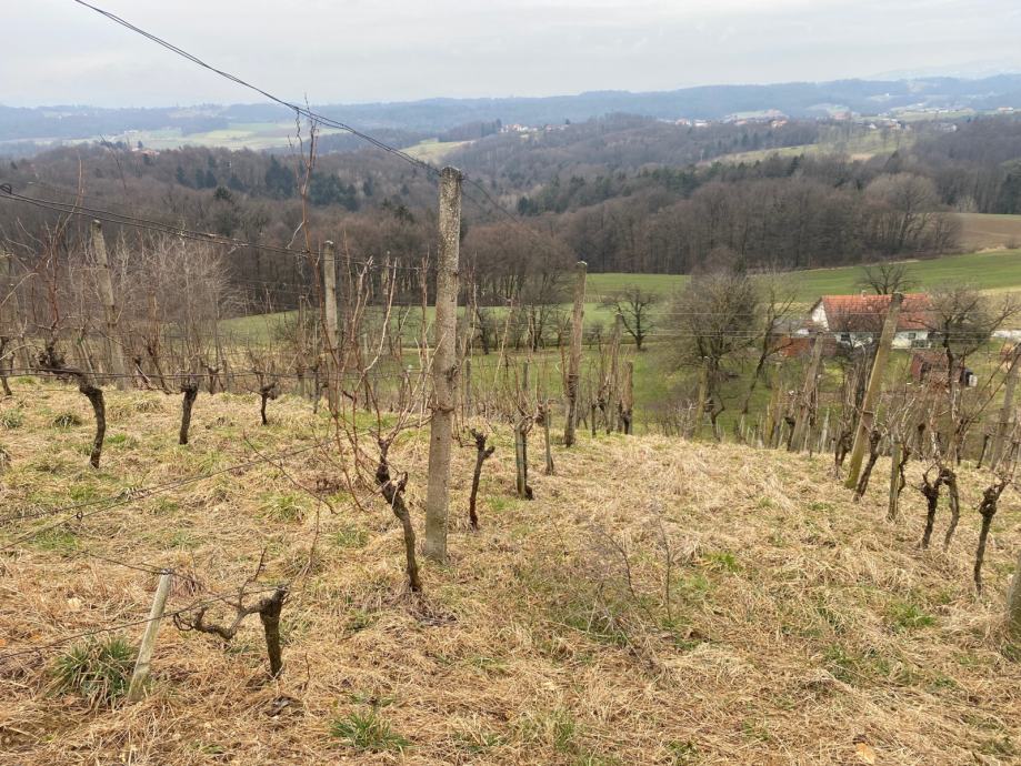 Prodaja, Parcela, Zazidljiva, Ptuj okolica, Destrnik