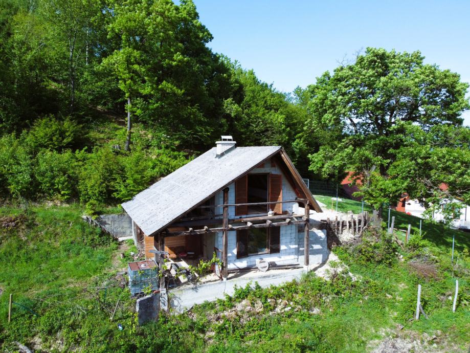 Vikend hiška s potencialom (Šentjungert) (prodaja)