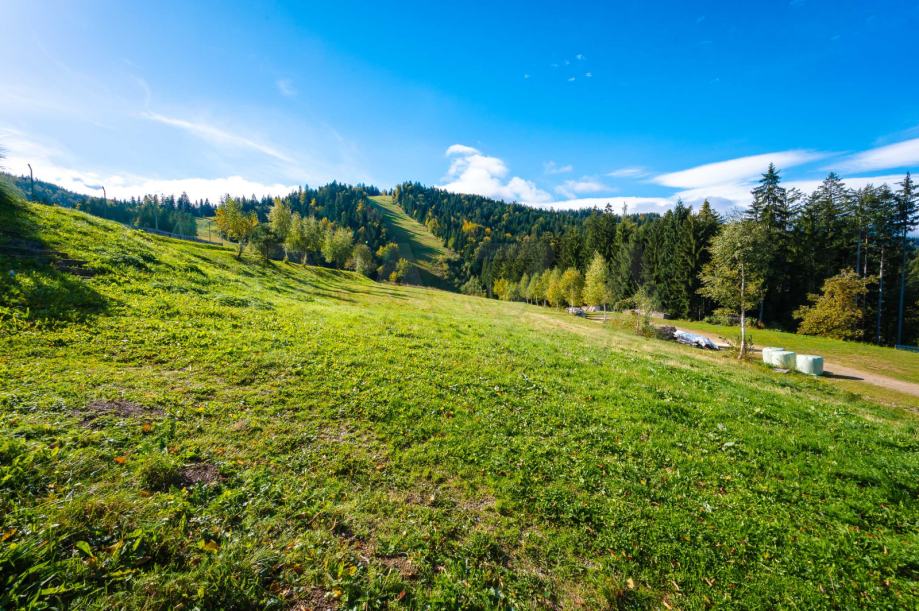 Zazidljivo zemljišče, Ribnica na Pohorju, 5327,00 m2