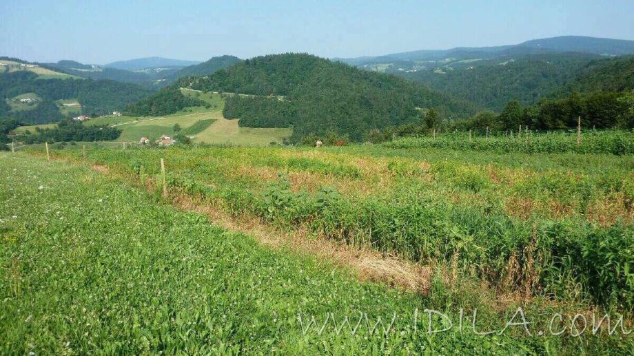 Zemljišče v Morju pri Framu, 421 m2 - Kopivnik