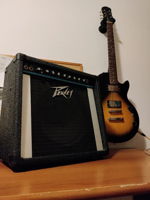 peavey envoy 110