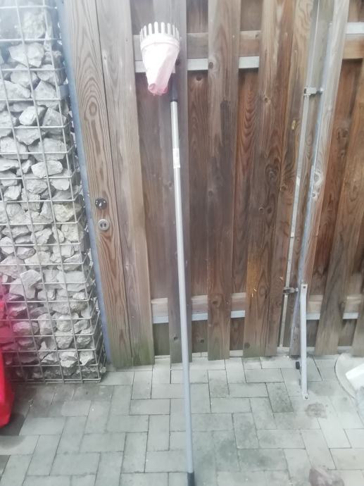 OBIRALEC SADJA 300 CM IN KOSARISA PREMER 14 CM CENA 12 EUR