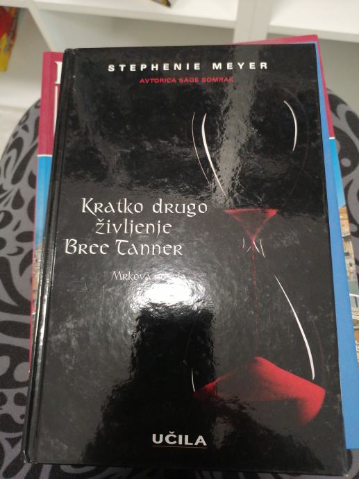 Stephenie Meyer, Kratko življenje Bree Tanner