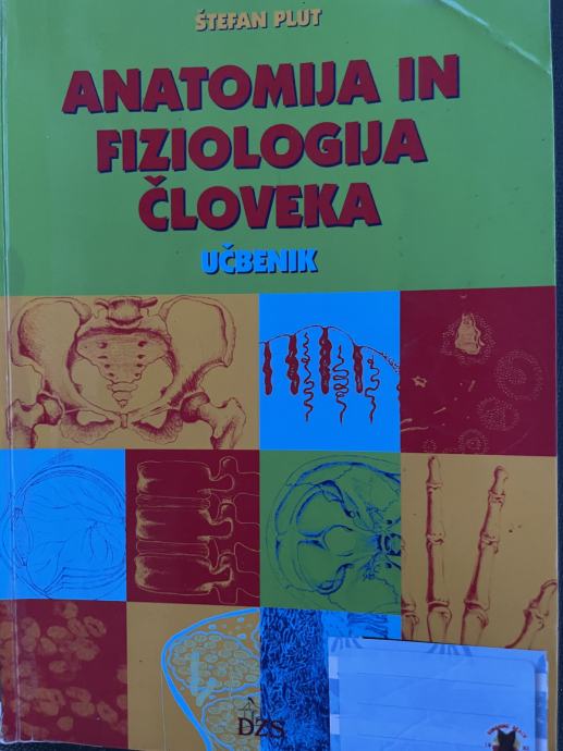 anatomija in fiziologija človeka