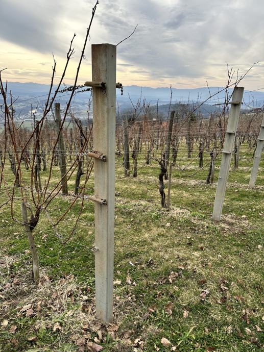 Stebri za vinograd - vroče cinkani