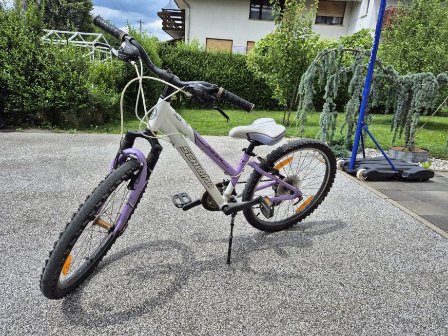 Otroško kolo Schwinn midi mesa 24 col