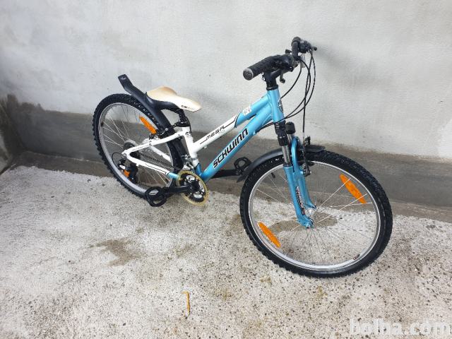 Schwinn 2025 mesa midi