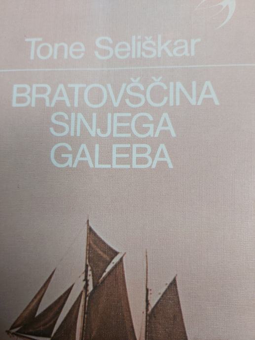 TONE SELIŠKAR BRATOVŠČINA SINJEGA GALEBA