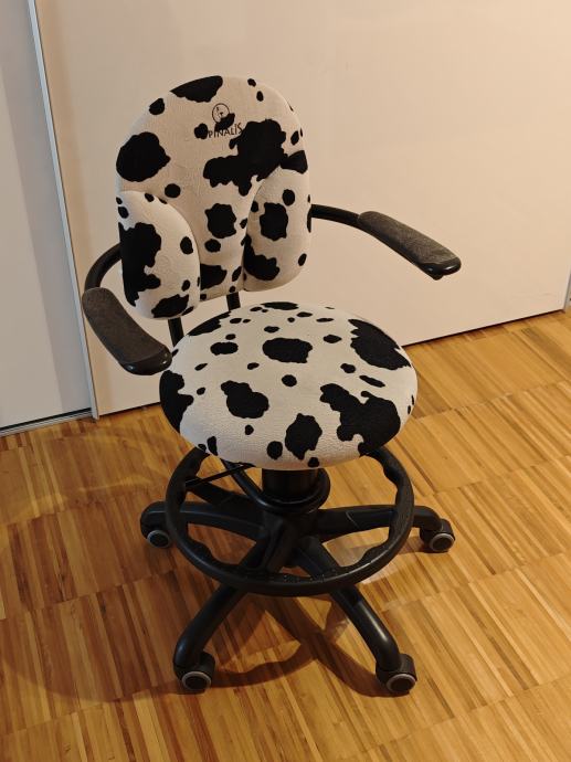 Spinalis BASIC cow