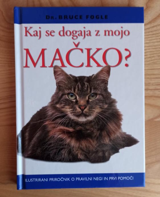 Kaj se dogaja z mojo mačko?