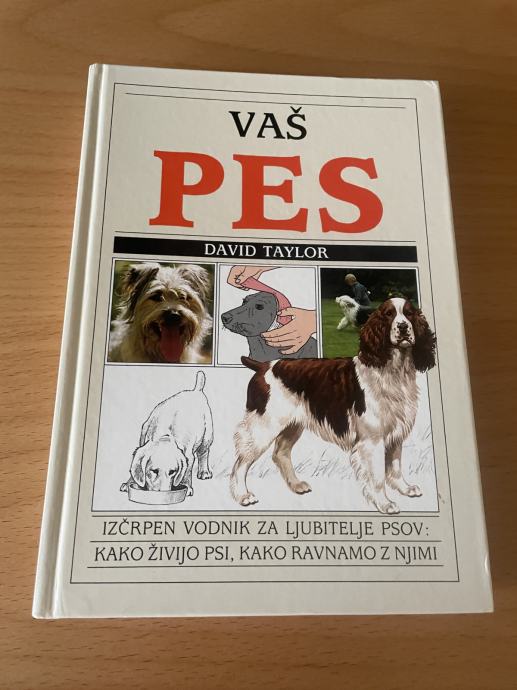 VAŠ PES DAVID TAYLOR KOT NOVA