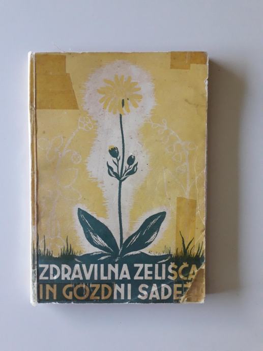 ZDRAVILNA ZELIŠČA IN GOZDNI SADEŽI, PRIROČNIK ZA NABIRANJE, 1950