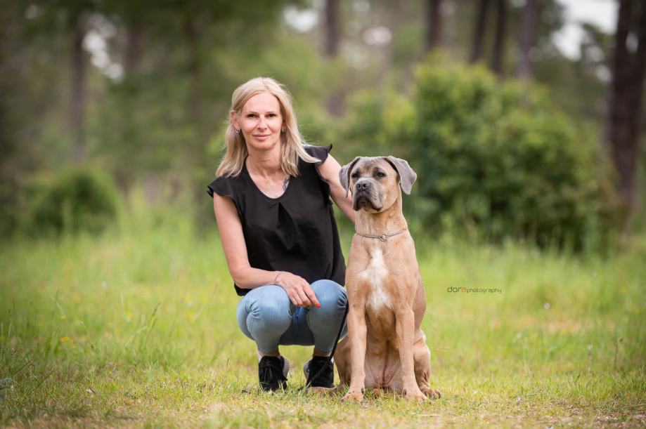 Cane Corso samička