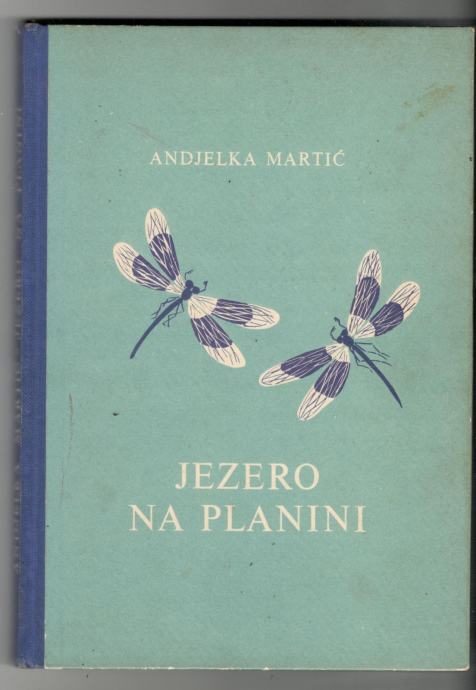 Andjelka Martić, JEZERO NA PLANINI