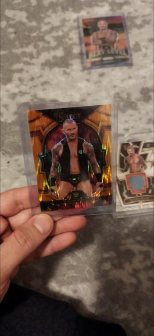 Panini WWE karte im patchevi