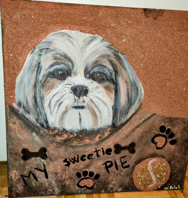 Akrilna slika Shih-tzu 50 x 50 cm s kristalčki